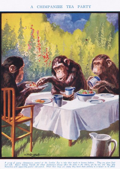 A Chimpanzee Tea Party, illustration from 